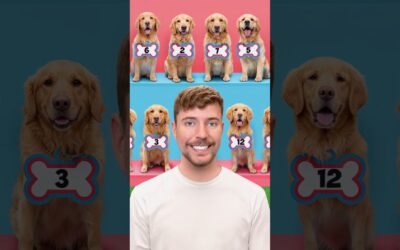 Find Your Dog, Win $10,000