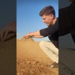 This Is How The Pyramids Were Built