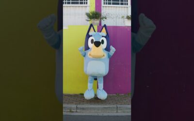 Bluey’s Exploring Cape Town #BlueysBigPlaySA