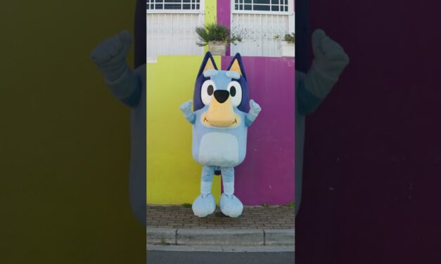 Bluey’s Exploring Cape Town #BlueysBigPlaySA