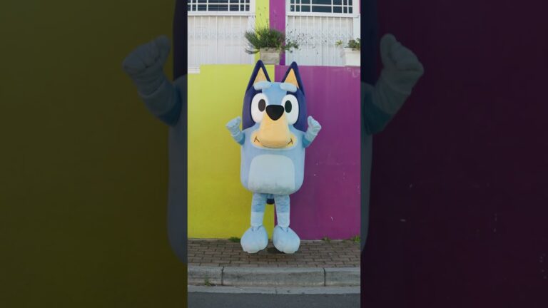 Bluey’s Exploring Cape Town #BlueysBigPlaySA
