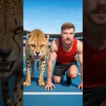 I Raced A Cheetah