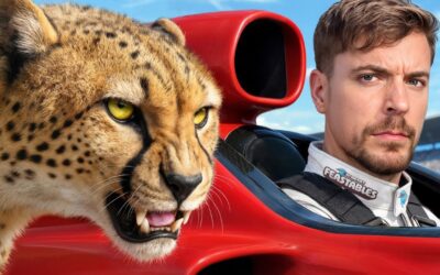World’s Fastest Car Vs Cheetah!