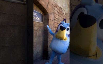 Bluey’s Final Week at Montecasino