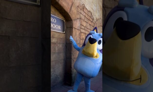 Bluey’s Final Week at Montecasino