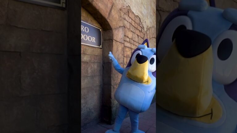 Bluey’s Final Week at Montecasino