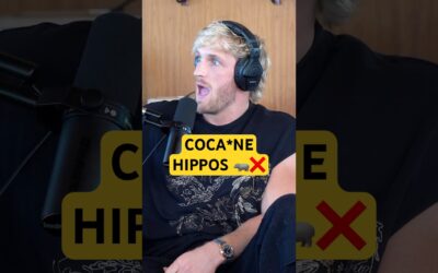 Why Hippos Are SO DANGEROUS 🦛⚠️