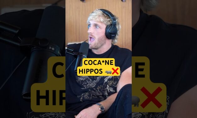 Why Hippos Are SO DANGEROUS 🦛⚠️