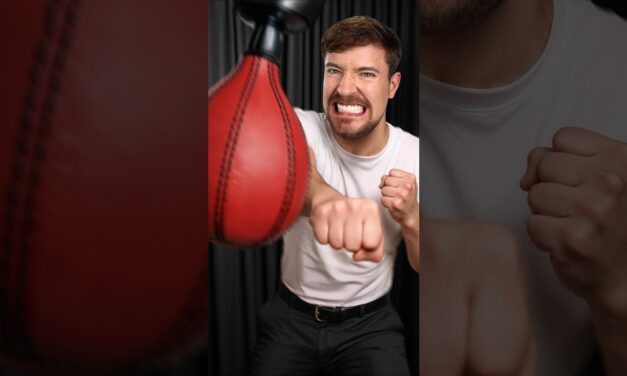 Which Celebrity Punches The Hardest?