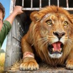 I Saved 1,000 Animals From Dying