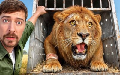 I Saved 1,000 Animals From Dying