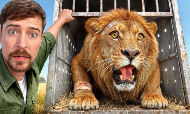 I Saved 1,000 Animals From Dying