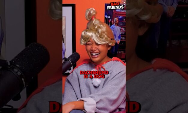 Chihuahua Chips for Bobby