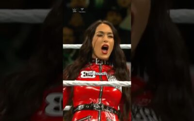 Brie Bella’s Royal Rumble Return! 🙌💥