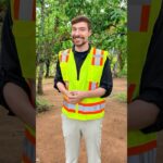 I Built a School in Mexico
