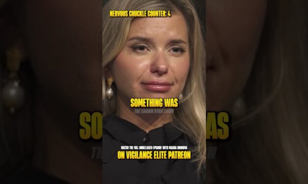 She Lied About Meeting Jeffrey Epstein…