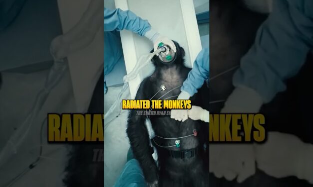 The Most Haunting Weapon of All Time 😳