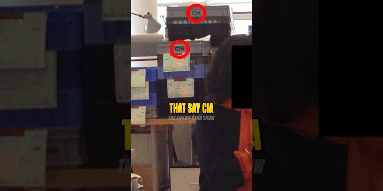 Why People Think Epstein Was CIA 🤯