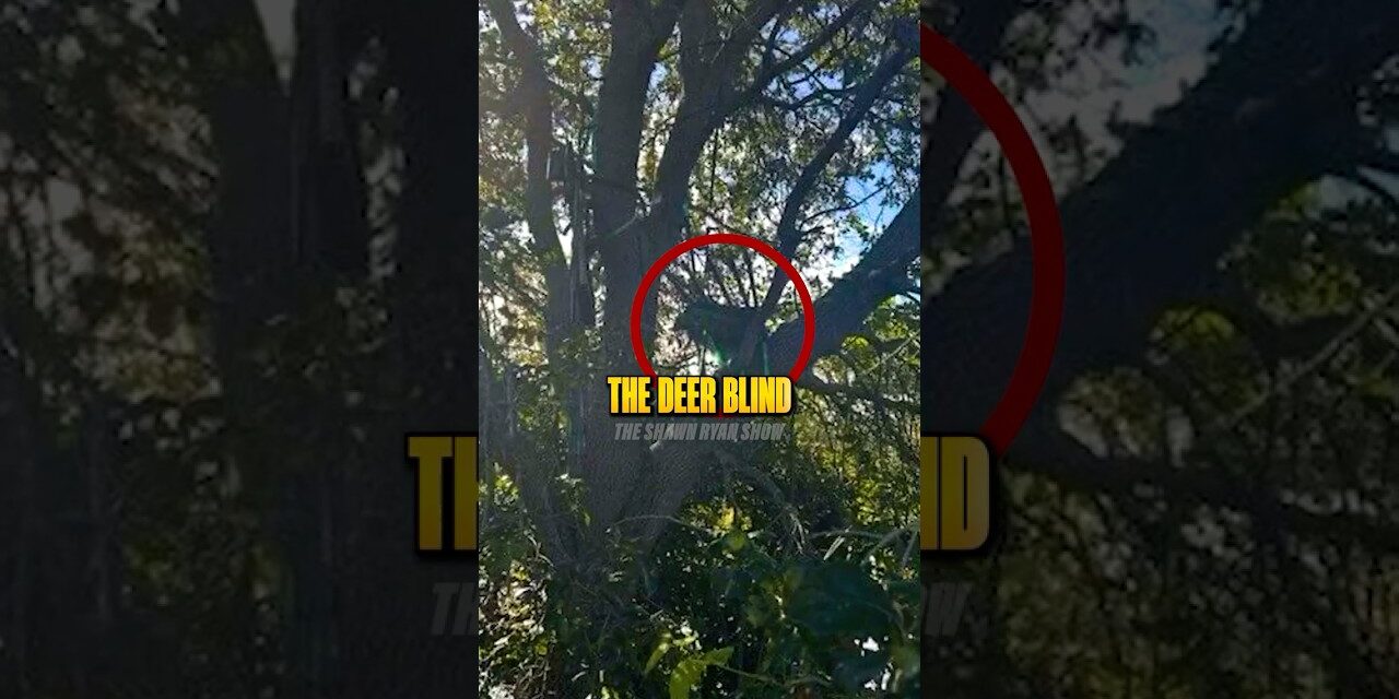 Why Was There a Deer Stand?