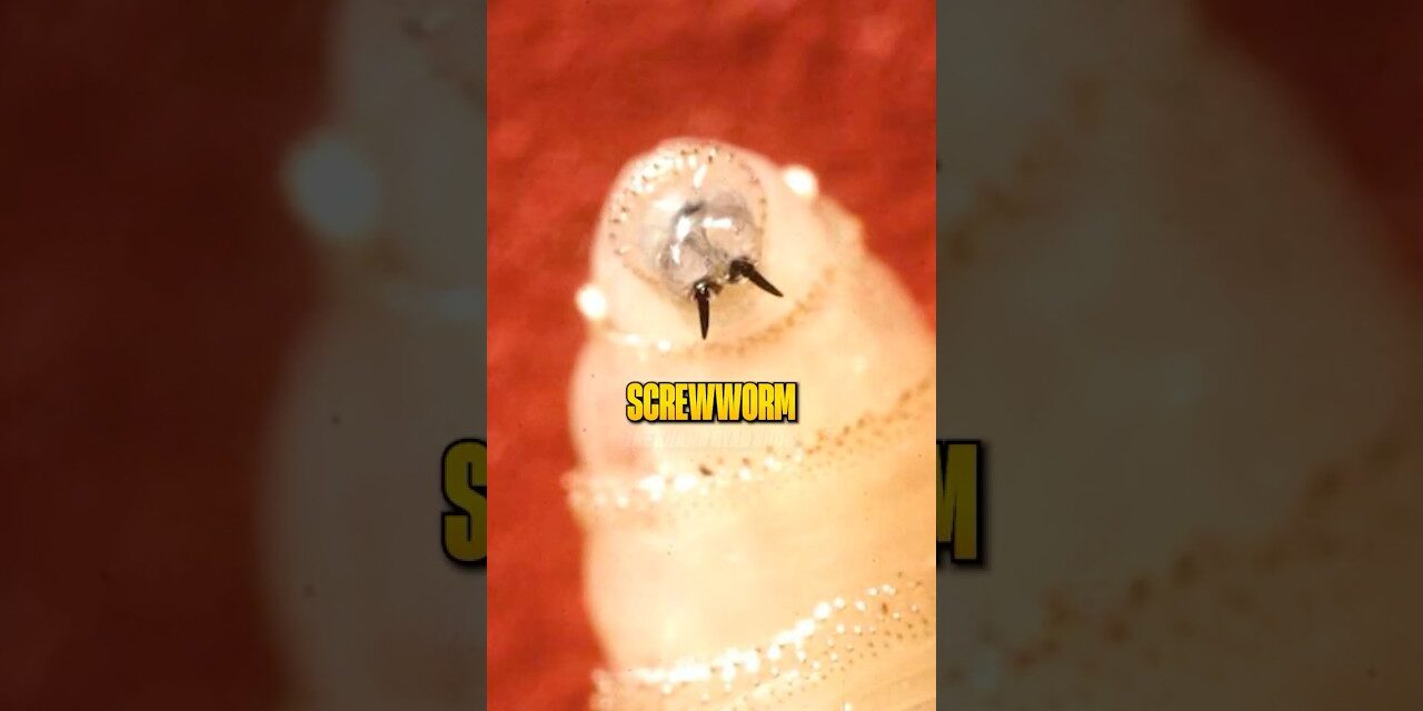 Is China Destroying Our Food Supply?!