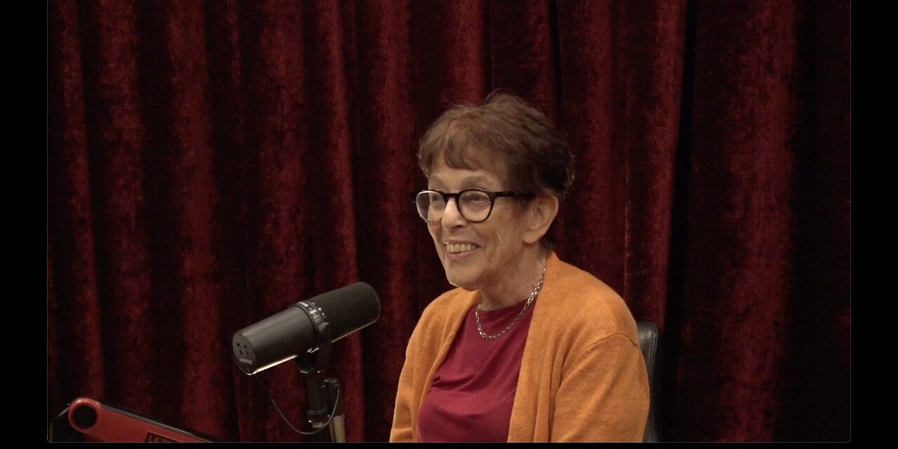 Joe Rogan Experience #2476 – Shanna H. Swan
