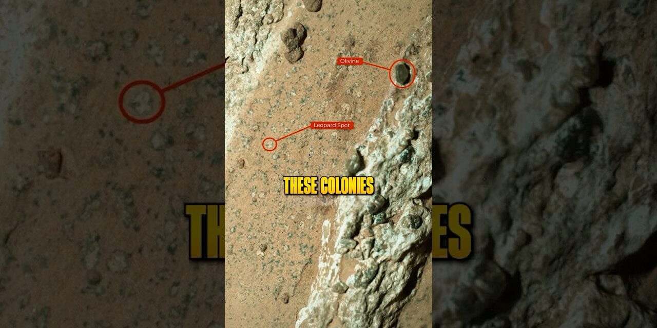 They Might Have Found Life On Mars 😳