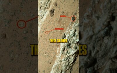 They Might Have Found Life On Mars 😳