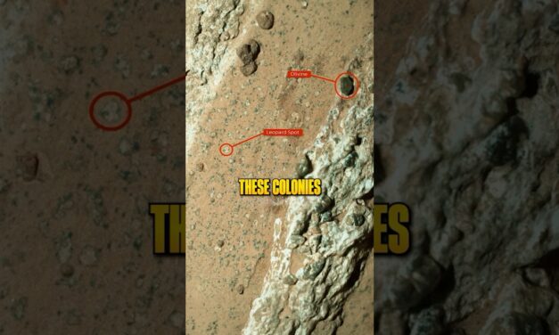 They Might Have Found Life On Mars 😳
