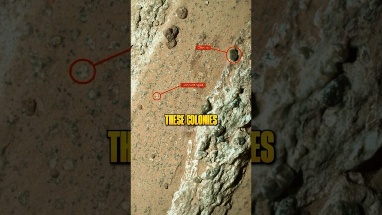 They Might Have Found Life On Mars 😳