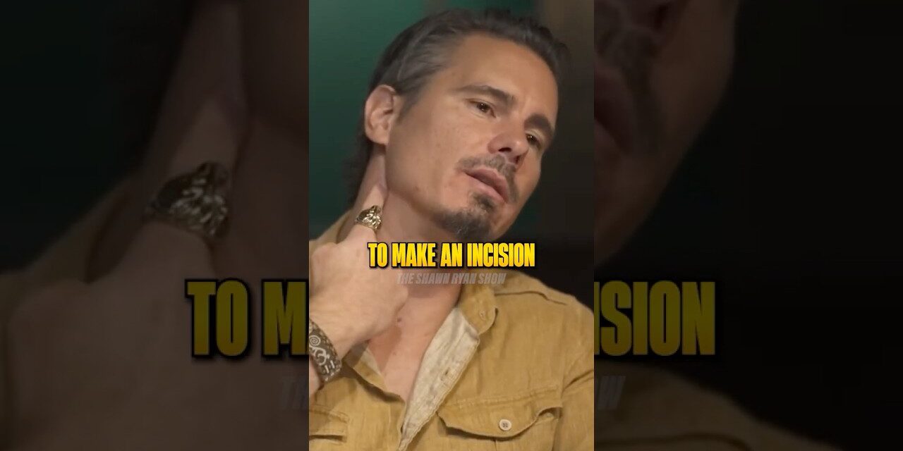 Are There Aliens Hiding in the Jungle? 🤯