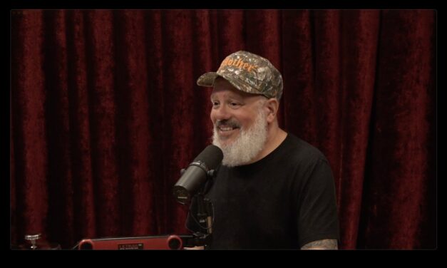Joe Rogan Experience #2484 – David Cross