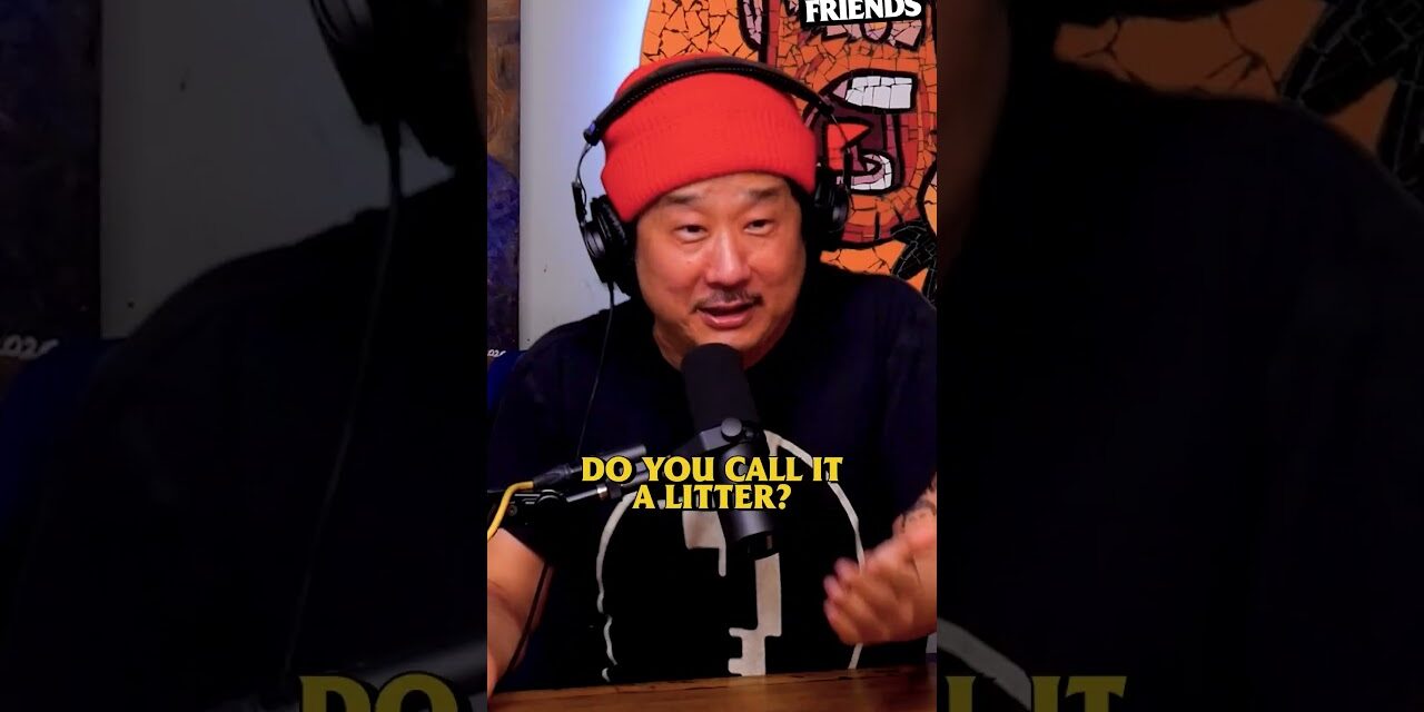 The Reason There Can’t Be 7 Dwarfs Together