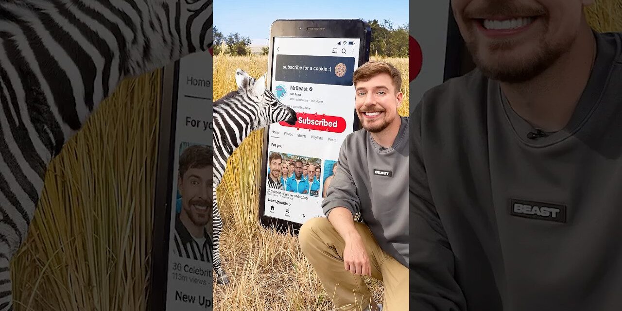 Will a Zebra Subscribe to me?