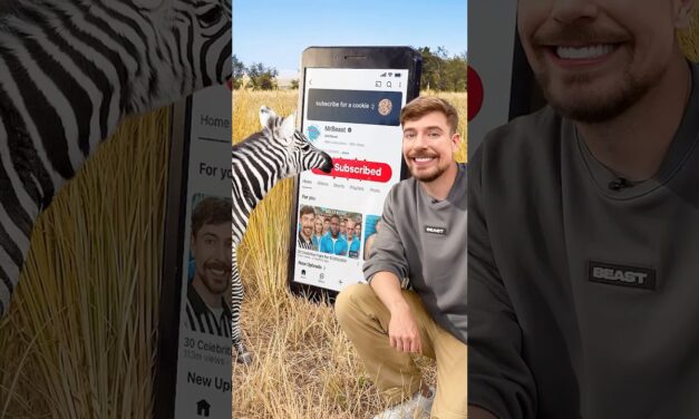 Will a Zebra Subscribe to me?