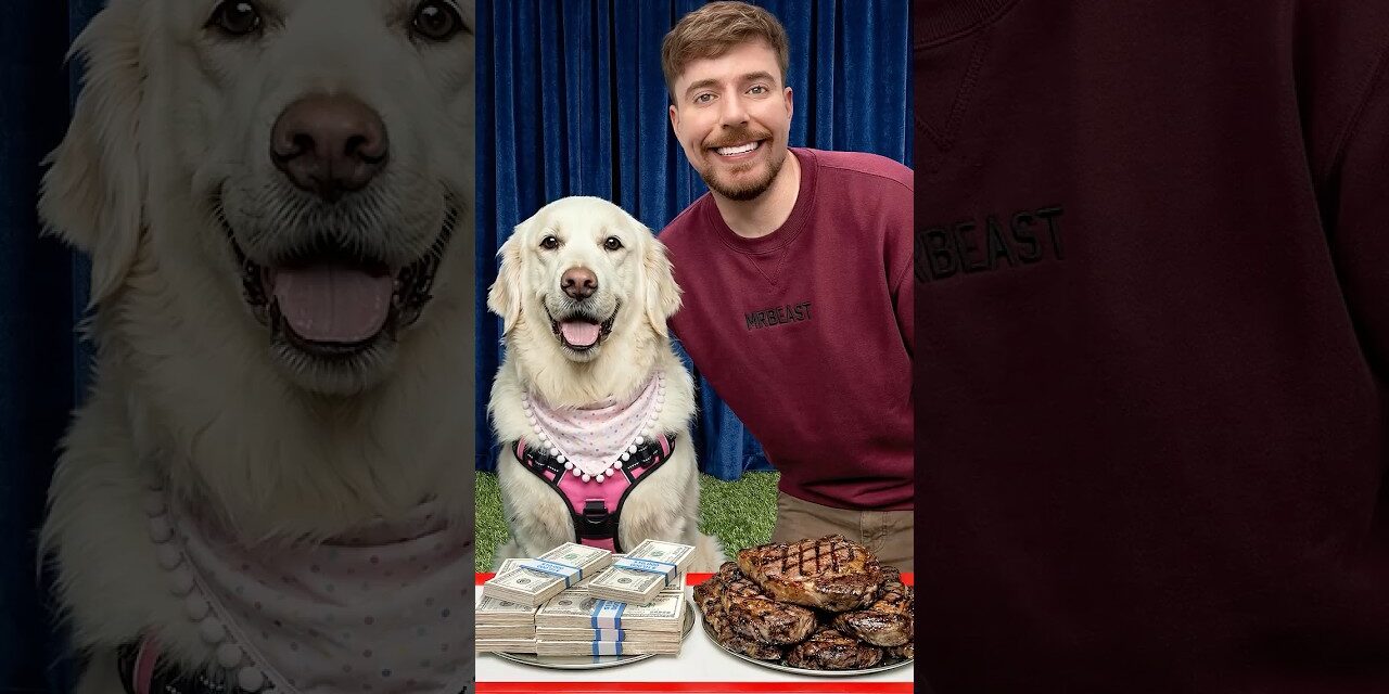 Would Your Dog Pick $10,000 or Steak?