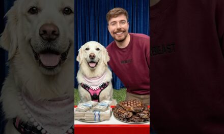 Would Your Dog Pick $10,000 or Steak?