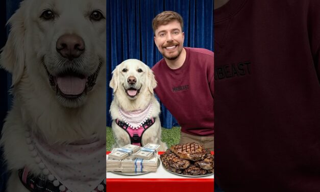 Would Your Dog Pick $10,000 or Steak?