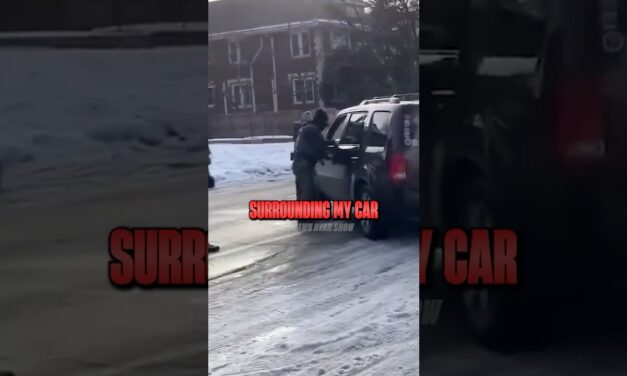 Was the Minnesota ICE Shooting Justified?