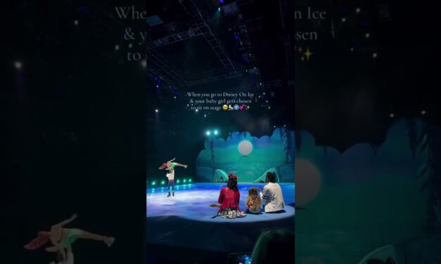 POV: Disney Magic Comes to Life Right in Front of You ✨