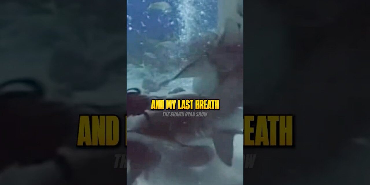 Mike Rowe Almost Died in a Shark Suit 🤯