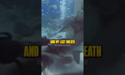 Mike Rowe Almost Died in a Shark Suit 🤯