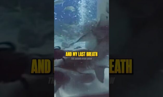 Mike Rowe Almost Died in a Shark Suit 🤯