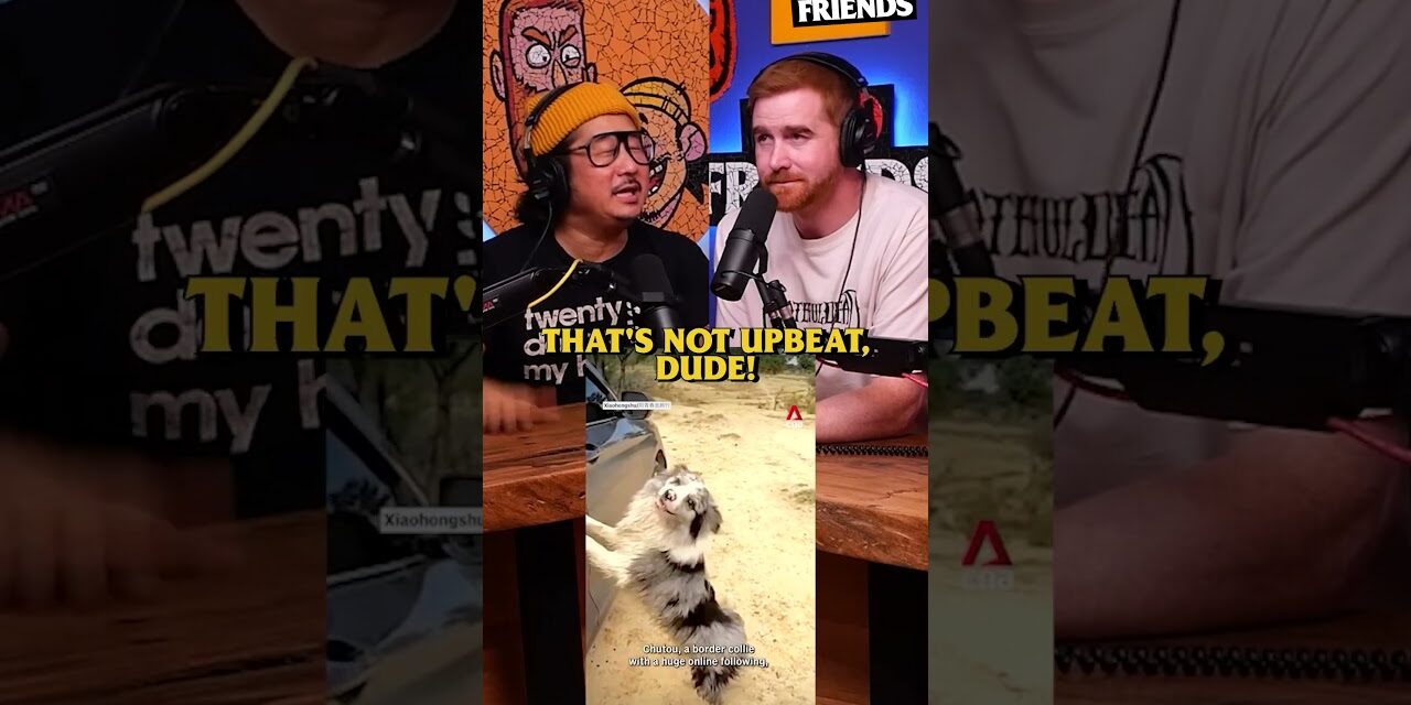 Upbeat Conversations