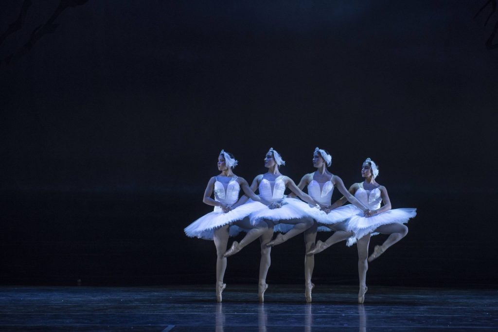 Swan Lake at Montecasino Review