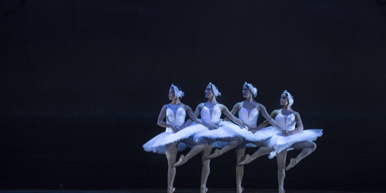 Swan Lake at Montecasino Review